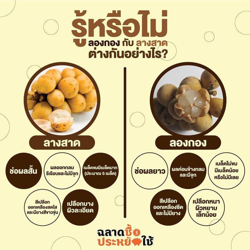สมัครกิฟฟารีน